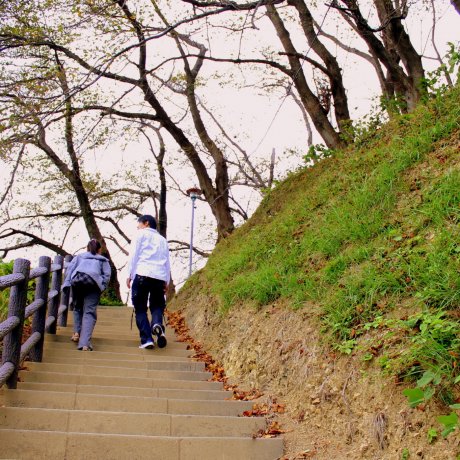 Yahatayama Park in Shizuoka City Yahatayama Park in Shizuoka City