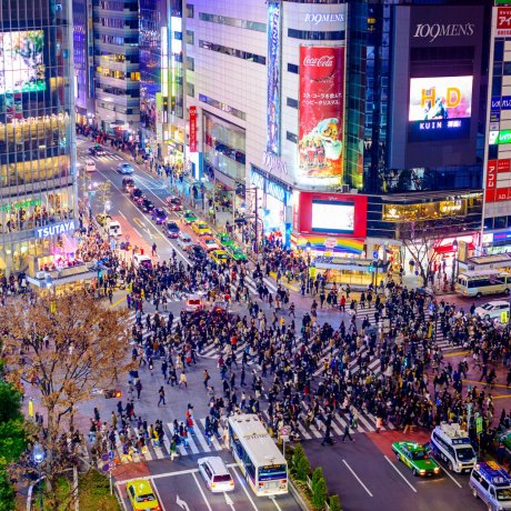 El Cruce de Shibuya El Cruce de Shibuya