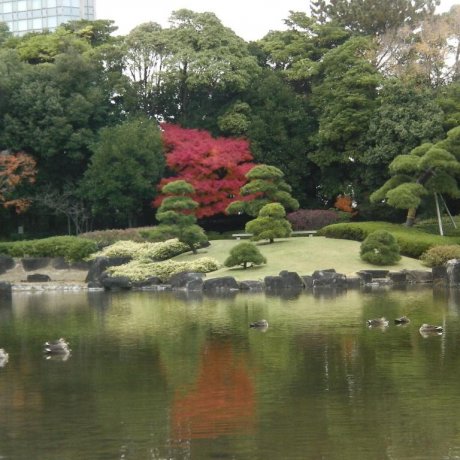 Mihama-en Japanese Garden Mihama-en Japanese Garden
