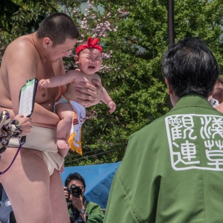 Nakizumo Crying Baby Festival Nakizumo Crying Baby Festival