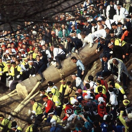 Onbashira Matsuri in Suwa, Nagano Onbashira Matsuri in Suwa, Nagano