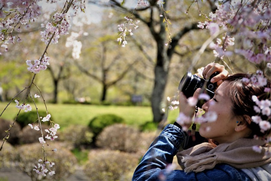 Clase de fotografía en un jardín japonés