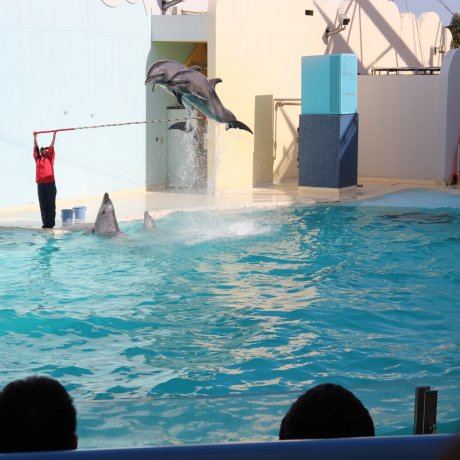 El Parque Suma Aqualife El Parque Suma Aqualife