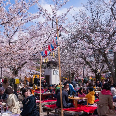 Parque Maruyama