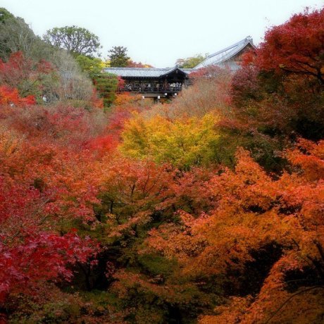 Tofukuji temple