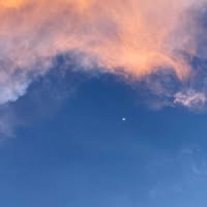 Jodean Ongly Lei profile photo