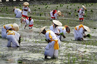 Sumiyoshi Rice Planting Festival